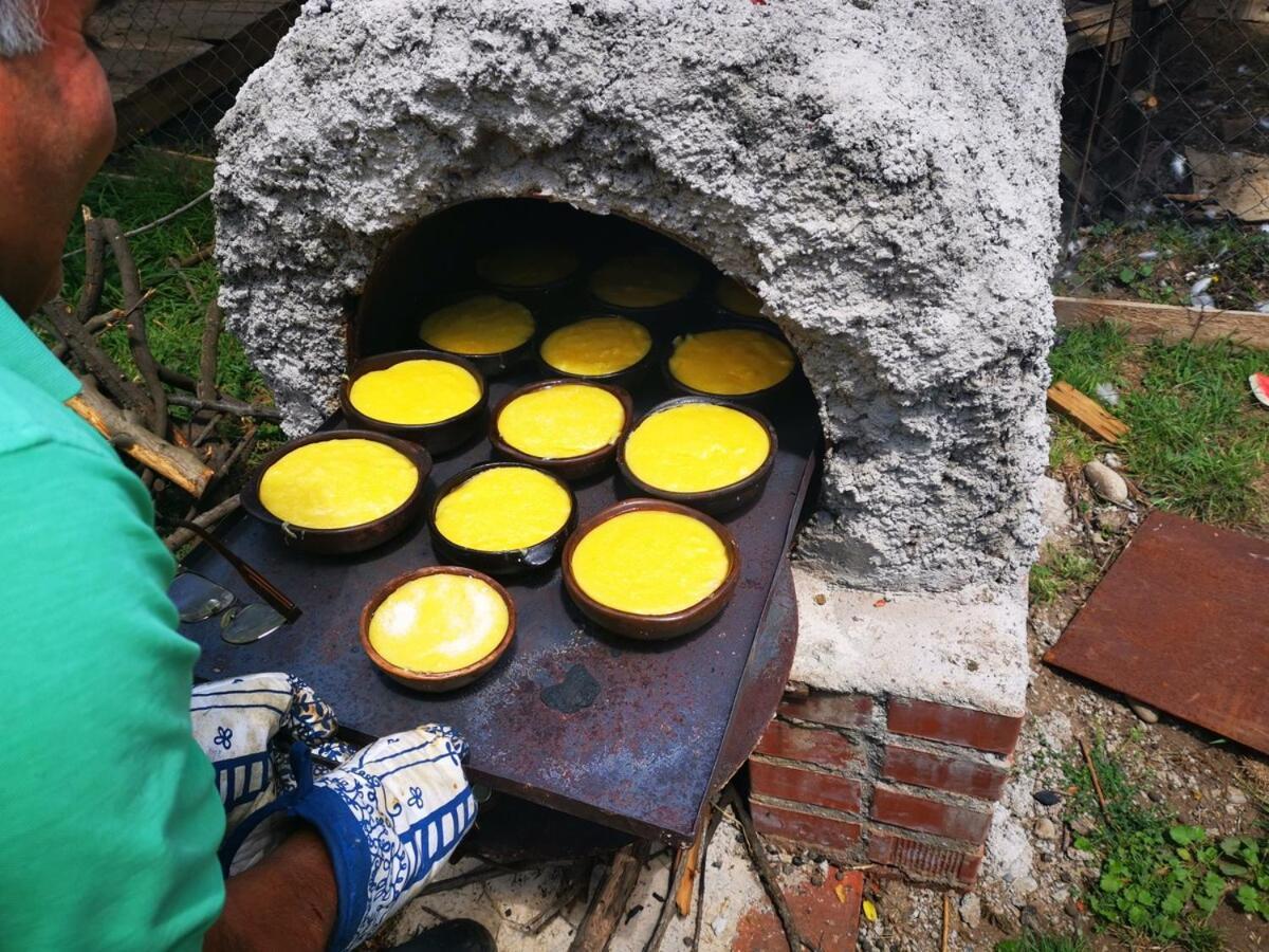 Molina, Cerca De 7 Tazas, Campo Con Animales Y Piscina Desmontable *