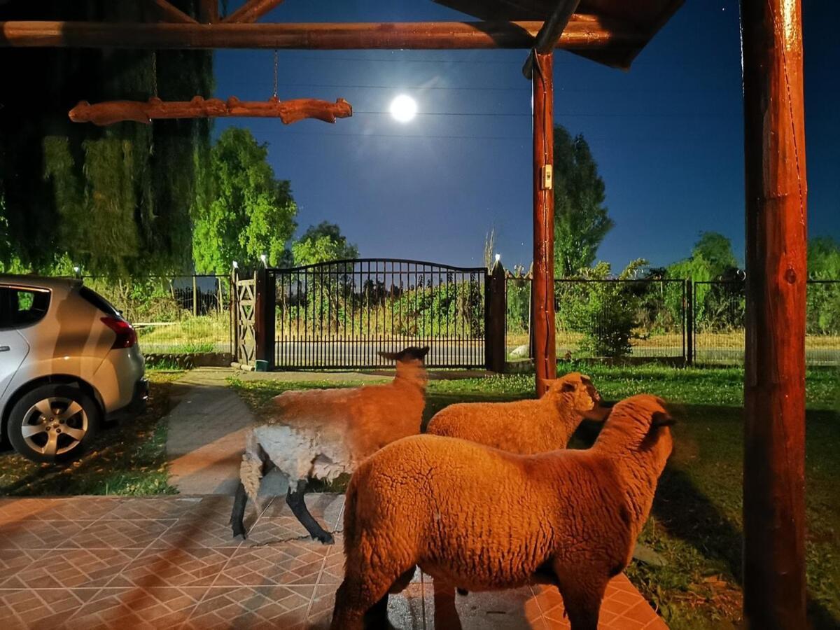 Molina, Cerca De 7 Tazas, Campo Con Animales Y Piscina Desmontable Holiday home *
