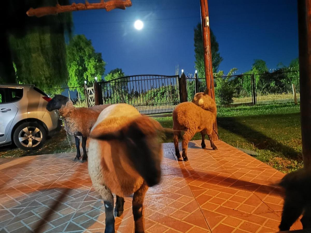 Holiday home Molina, Cerca De 7 Tazas, Campo Con Animales Y Piscina Desmontable *