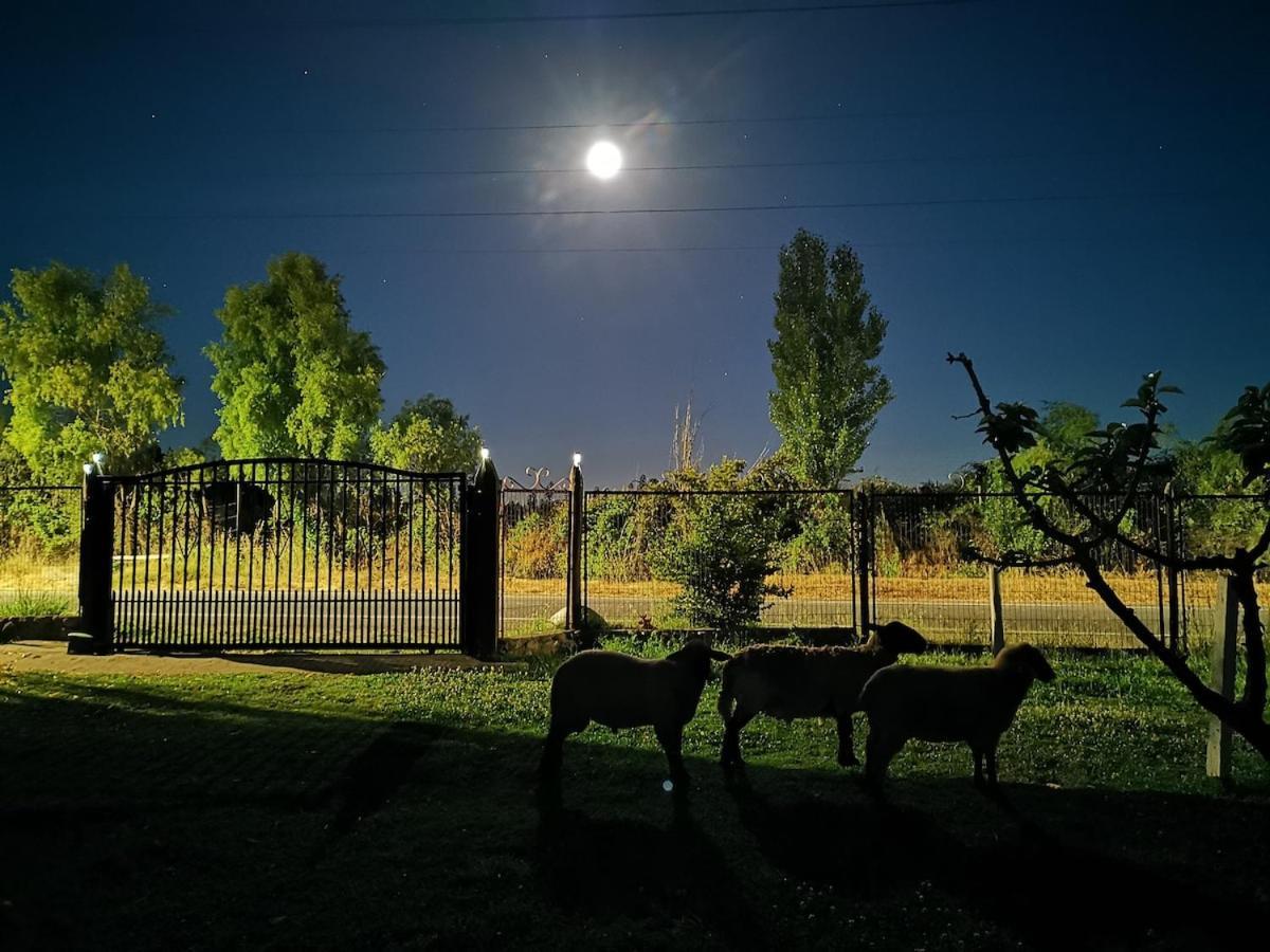 Molina, Cerca De 7 Tazas, Campo Con Animales Y Piscina Desmontable
